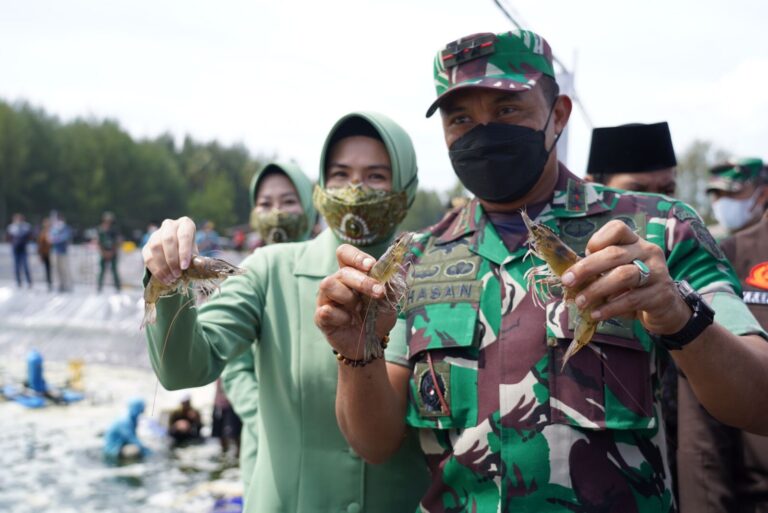 Pangdam IM Pelopori Budidaya Udang Vaname Untuk Tingkatkan Ekonomi Masyarakat