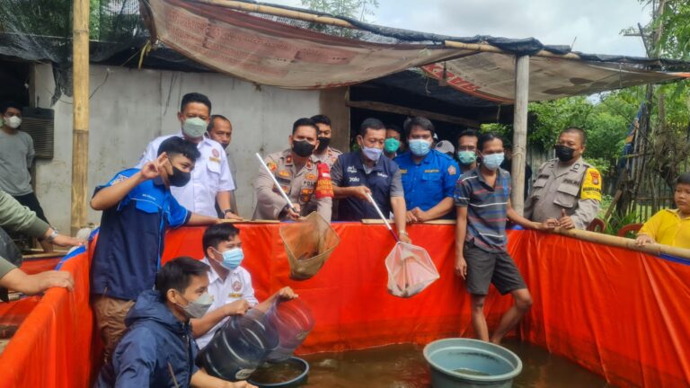 Kapolsek Kalideres Bersama Warga Panen Lele