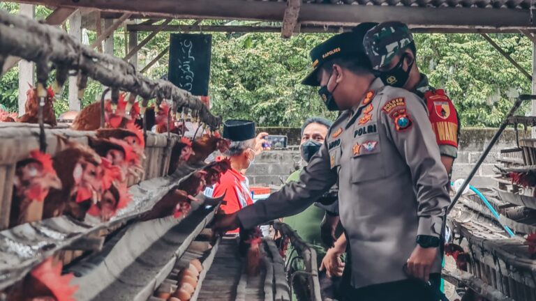 Borong Telur, Polres Blitar Kota  Bantu Peternak Lokal