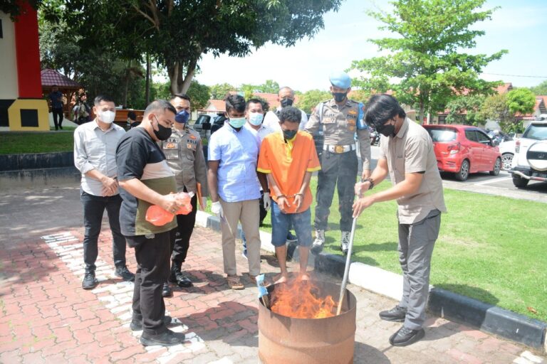 PEMUSNAHAN BARANG BUKTI NARKOTIKA JENIS GANJA OLEH DITRESNARKOBA POLDA KEPRI