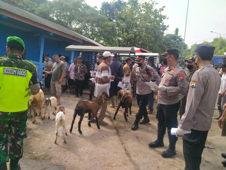 Kapolsek Karangjati Ajak Pedagang Kambing Di Pasar Samben Waspadai PMK
