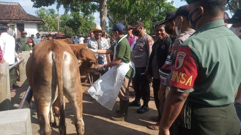 Polsek Ngrambe Beri Pemahaman PMK Ke Padagang di Pasar Hewan Ngrambe