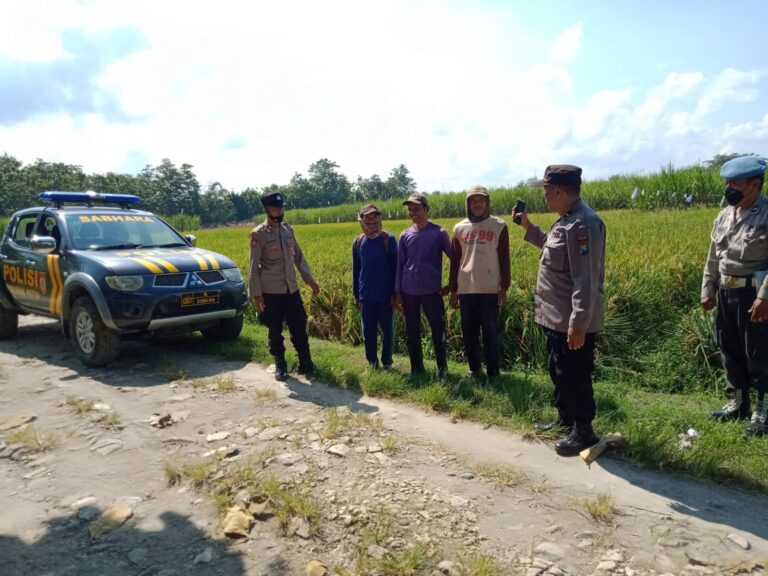 Peduli Petani, Polres Ngawi Sosialisasikan Penanggulangan Hama Tikus