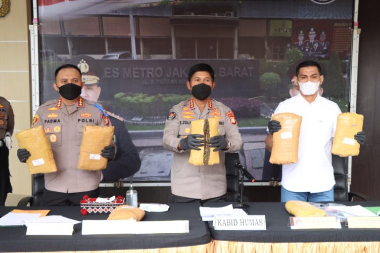 Polres Metro Jakbar Bongkar Peredaran Gelap Narkoba Jenis Ganja Jaringan Lintas Provinsi Sumatera – Jawa