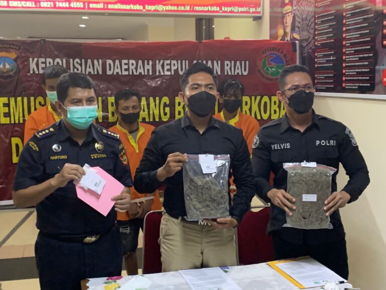 Pemusnahan barang bukti Narkotika jenis sabu dan Ganja oleh Ditresnarkoba polda kepri