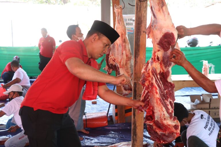 Sebanyak 53 ekor Sapi dan 43 ekor Kambing pada pelaksanaan Qurban Barokah di Polres Metro Jakpus