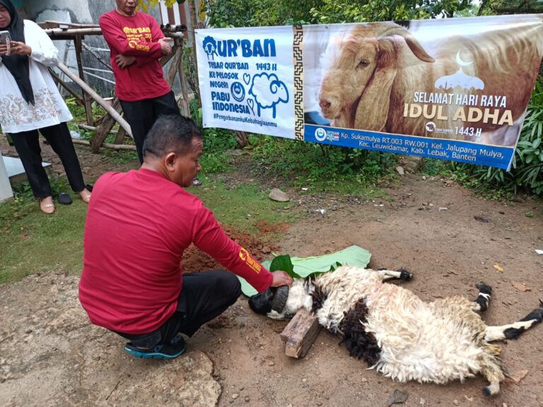 Pabu Indonesia Tebar Qurban Ke Pelosok Negeri