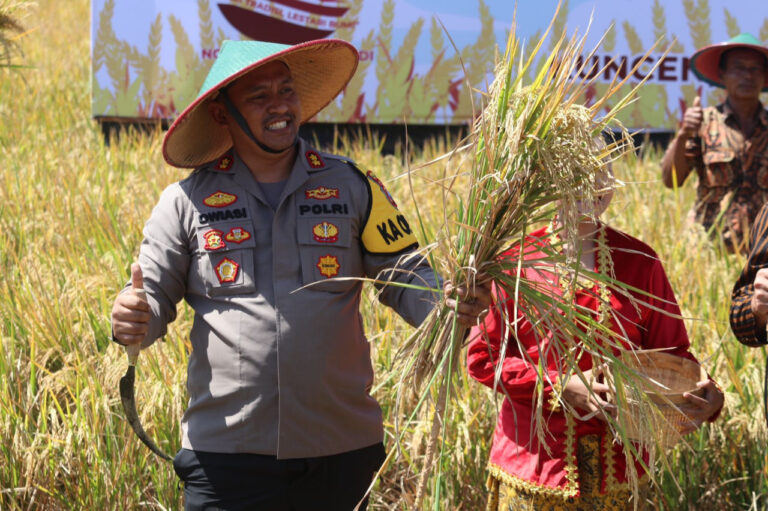Kapolres Ngawi Hadiri Panen Raya di Desa Sidomakmur