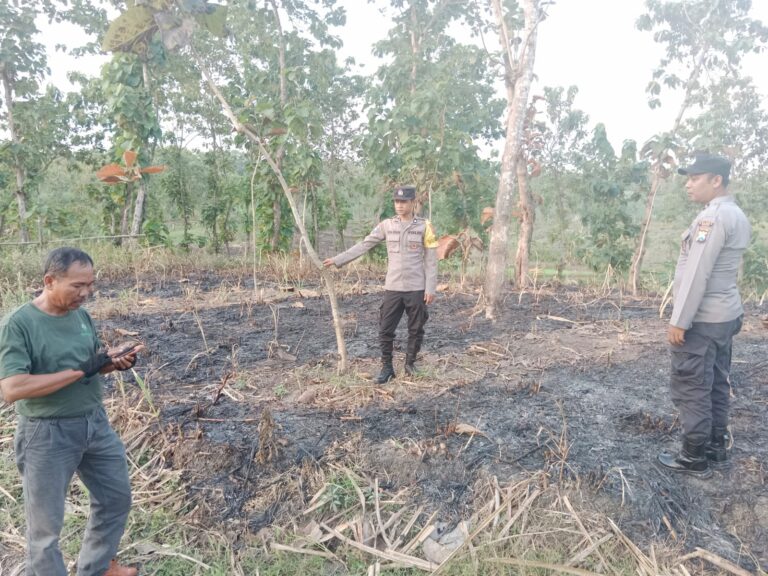 Gerak Cepat Polsek Karanganyar, Cek Dugaan Kebakaran di Lahan Perhutani