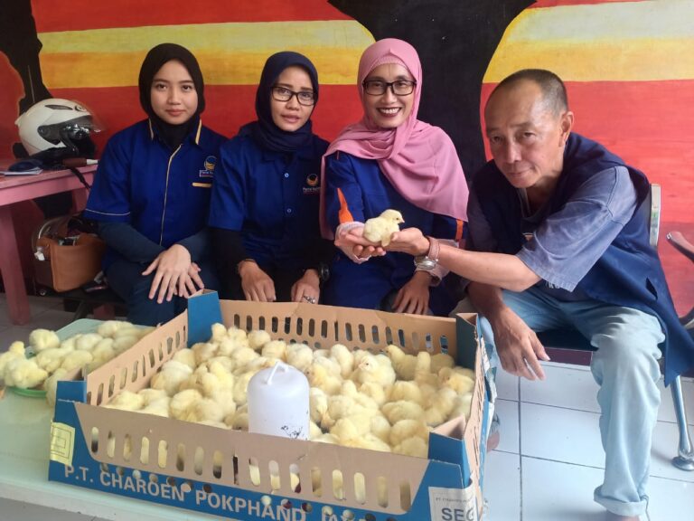 PEMBERDAYAAN KADER PARTAI NASDEM MENJADI PETERNAK UNGGUL