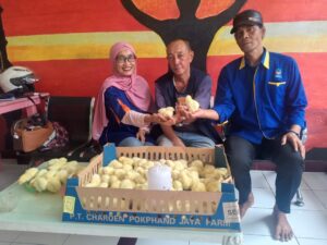 Partai Nasdem