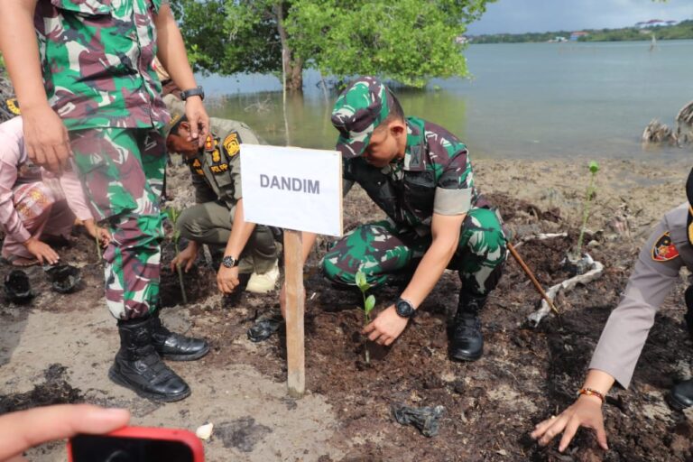 Bersama DLH Tanjungpinang, Kodim 0315/Tanjungpinang Gelar Penanaman 1.000 Bibit Pohon Mangrove