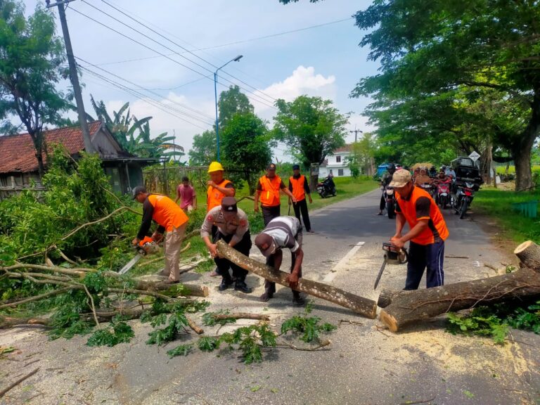 Antisipasi Pohon Tumbang, Polsek Pangkur Lakukan Pemangkasan Pohon yang Menjulang Ke Jalan