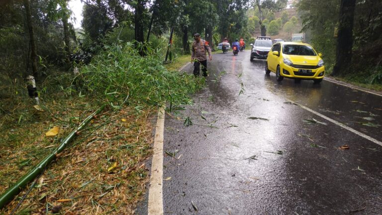 Sigap, Kapolsek Maja Turun Langsung Evakuasi Pohon Tumbang Yang Menutup Badan Jalan Cikebo Maja