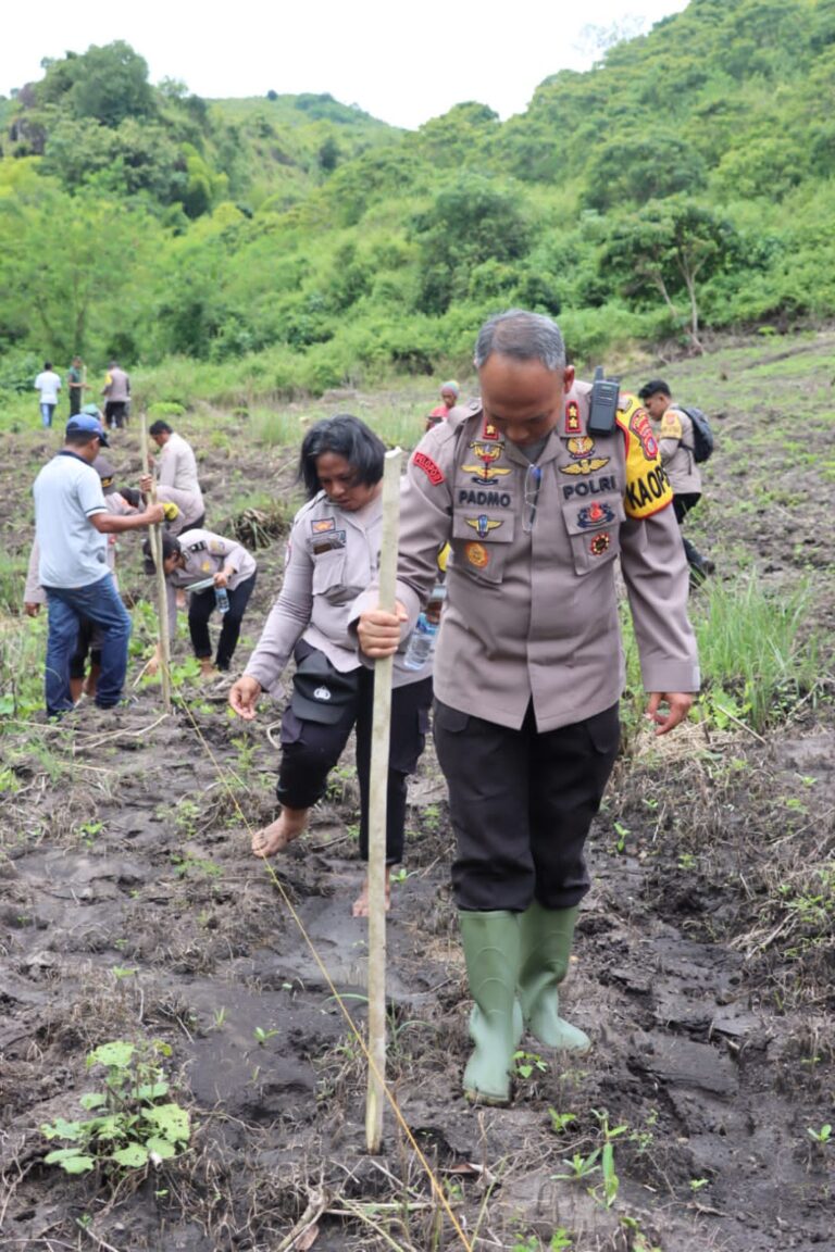 Dukung Ketahanan Pangan Dikabupaten Ngada Kapolres Ngada: Mari Kita Manfaatkan Lahan Kosong
