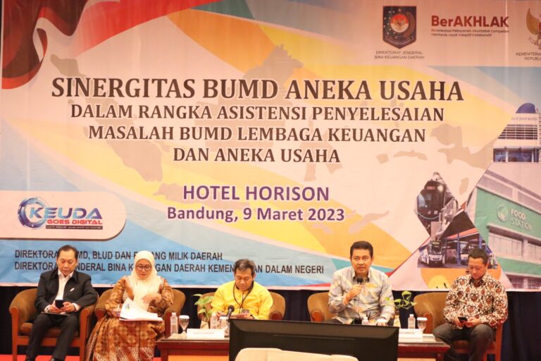 Dirjen Bina Keuda Kemendagri Berikan 10 Arahan Penting Tingkatkan Kinerja BUMD
