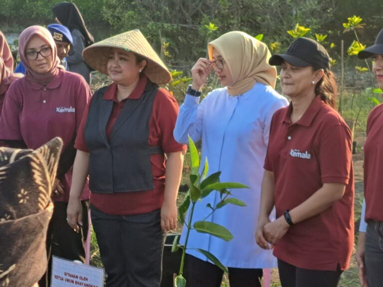Bhayangkari Polri Melepas Ratusan Anak Penyu-Penanaman Manggrove Dipantai Cemara Banyuwangi