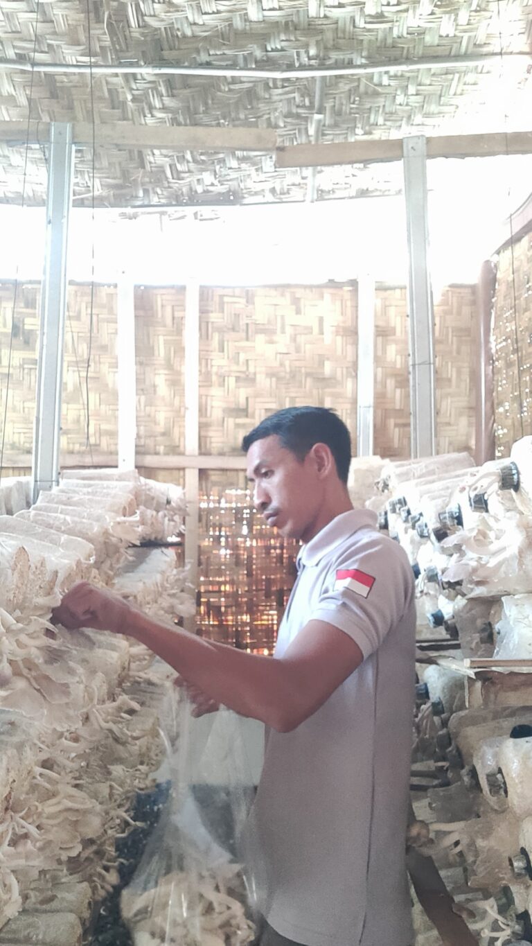 SAE Lakuli Lapas Kediri Tingkatkan Giat Jamur Tiram