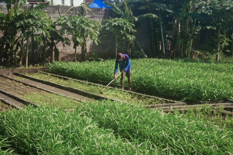 Manfaatkan Lahan Luas SAE Lakuli Lapas Kediri Untuk Sektor Pertanian