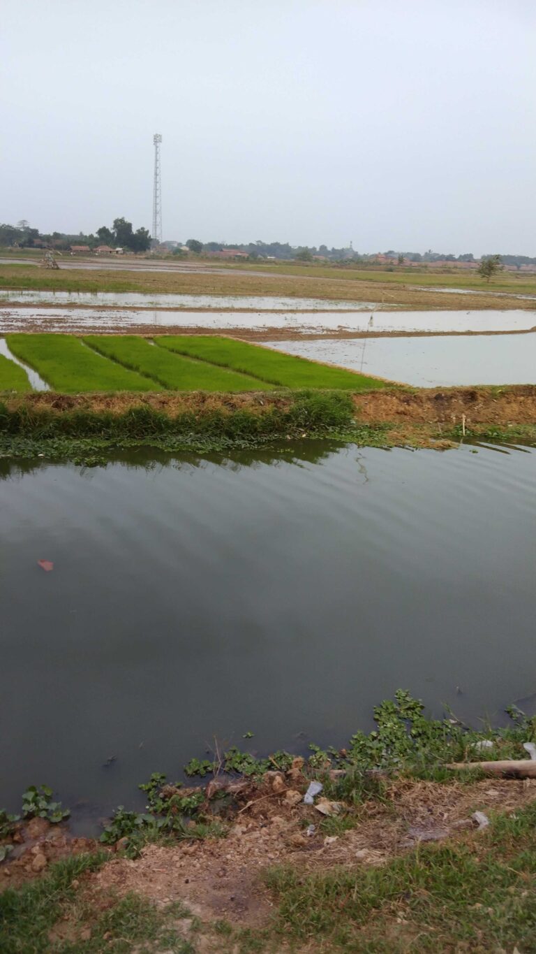 Warga Kampung Bihbul Minta Menteri PUPR Segera Bangun Situ Ciplahlar Di Jadikan Wisata Air