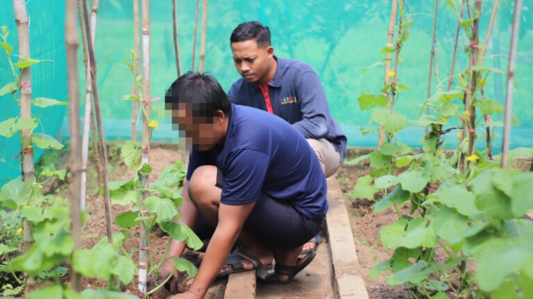 Lapas Kediri Ajarkan Warga Binaan Budidaya Melon Sistem Green House
