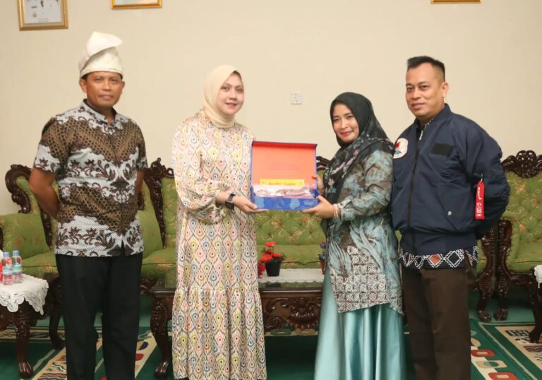Perkuat Sinergitas Bersama Pemerintah Daerah, Komandan Lanud Raja Haji Fisabilillah dan Ketua Pia Ardhya Garini Cab.13/D.I Lanud RHF Kunjungi Kab. Lingga Kepulauan Riau.