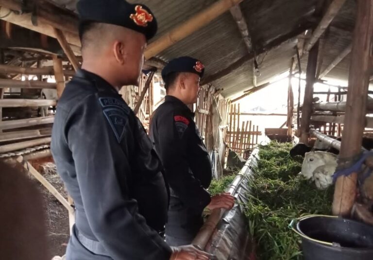 Saat Brimob Polda Jabar Patroli Harkamtibmas Antisipasi Pencurian Hewan Ternak