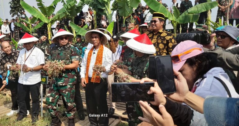 Tinjau Panen Raya Komoditas Bawang Merah, Mentan RI Apresiasi Kinerja TNI AD dalam Mendukung Program Ketahanan Pangan Nasional