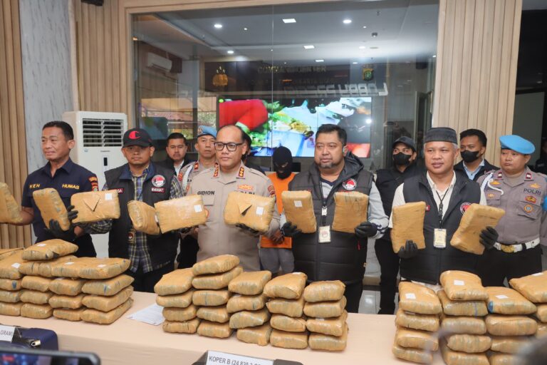 Polres Metro Jakarta Utara Gagalkan Peredaran Ganja Seberat 77 Kg