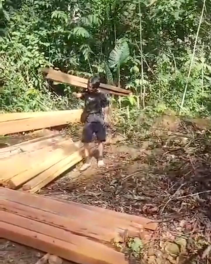 Diduga Dicky Herlambang Cukong Illegal Logging
