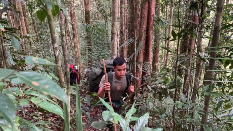 Satgas Gabungan Bersama Satgas Pamtas RI-Mly Yonzipur 5/ABW Laksanakan Patroli di Taman Nasional Betung Kerihun