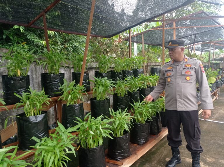 Kapolsek Pontianak Kota Manfaatkan Pekarangan Mako Polsek untuk Tanaman Produktif Dukung Ketahanan Pangan