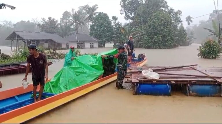 Tanggap Bencana Babinsa Koramil 06/Ledo bantu Evakuasi Warga Terkena Banjir
