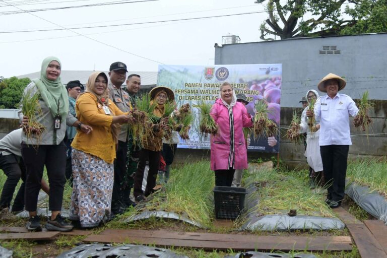 Bersama Warga Binaan Lapas, Mbak Ita Panen Bawang Varietas Bima Brebes