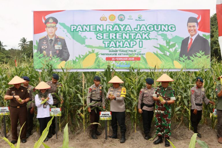 Polda Kalteng Melaksanakan Panen Raya Jagung Perdana di Lahan Seluas 1 Hektare