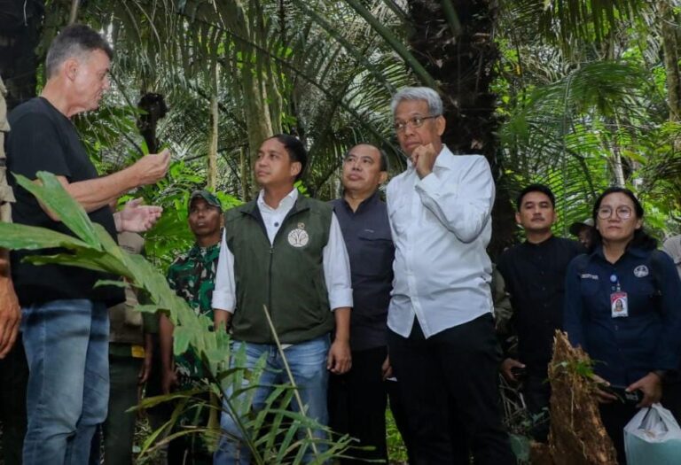 Menteri Kehutanan : Perdagangan Karbon Sektor Kehutanan Segera Diresmikan