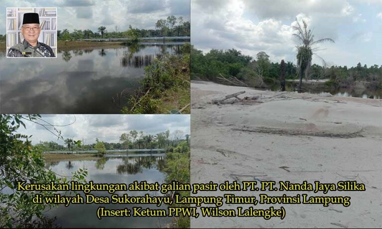 Warga Menjerit! Tambang Pasir Silika di Lampung Timur Ancam Keselamatan dan Rusak Lingkungan, PPWI Desak Penegakan Hukum!