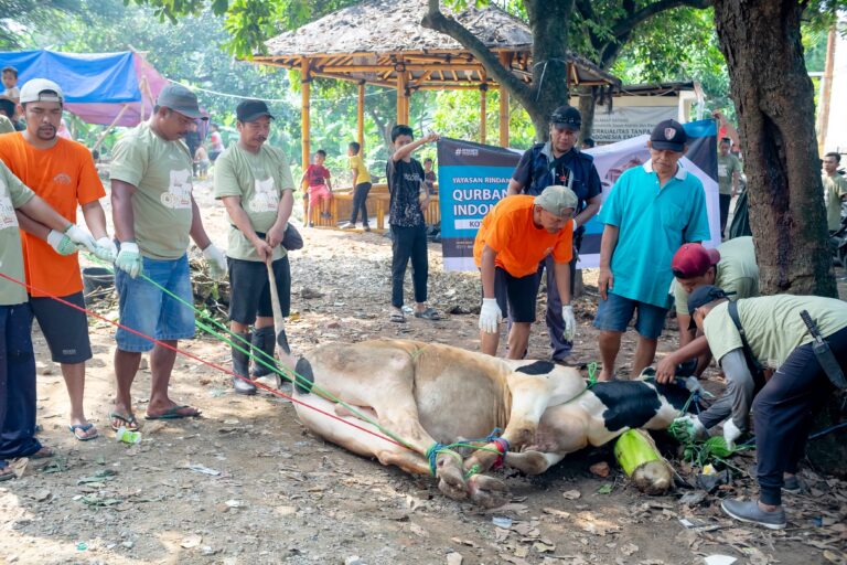 Dittipidnarkoba Bareskrim Polri Salurkan Sapi Kurban melalui Yayasan Rindang Indonesia