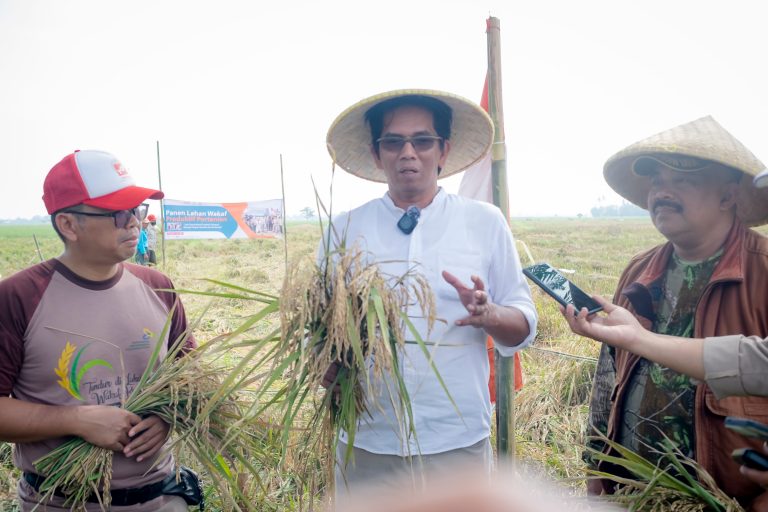 Program Wakaf Sawah Produktif untuk Ketahanan Pangan: Dari Lumbung Cikunir, Harapan Untuk Negeri