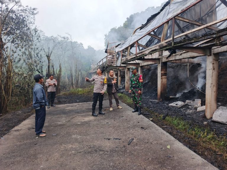Kebakaran Kandang Ayam di Sumowono, Dugaan Konsleting Blower Kandang