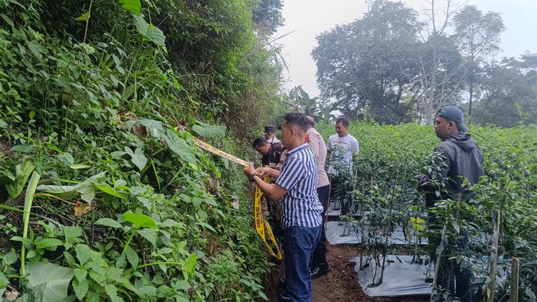 Bersihkan kebun Cabai, Warga Getasan Temukan Benda Diduga Granat
