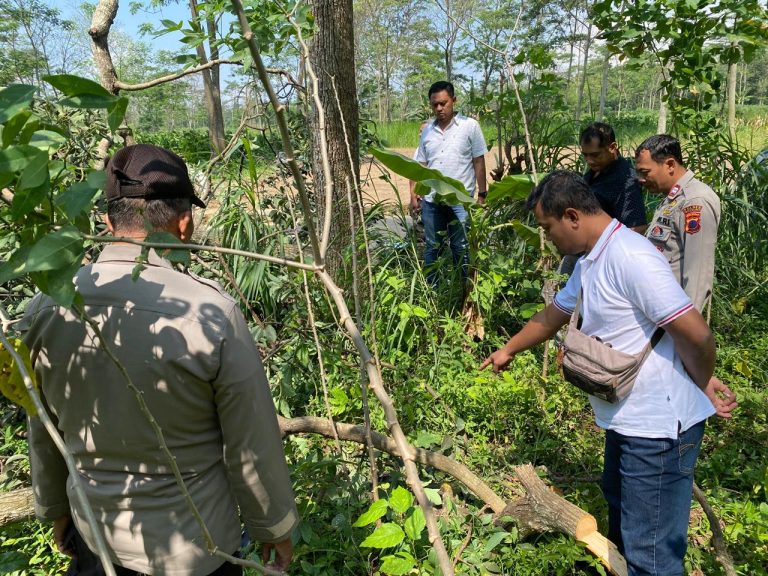 Polisi Datangi TKP, Pria Meninggal Dunia Tersengat Listrik Saat Tebang Pohon di Musuk
