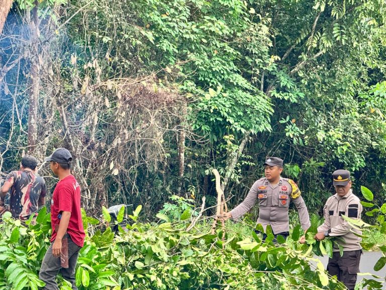 Kolaborasi Polri dan Masyarakat Tangani Pohon Berpotensi Bahaya di Jalan Raya Singkep Barat