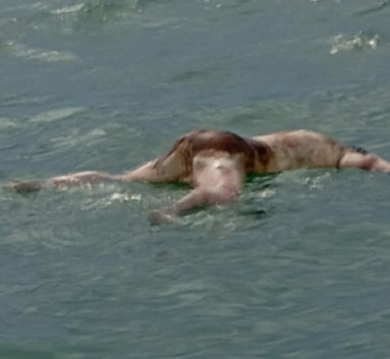 Warga Nelayan di kejutkan penemuan mayat terapung di perairan Laut Pulau Lalang